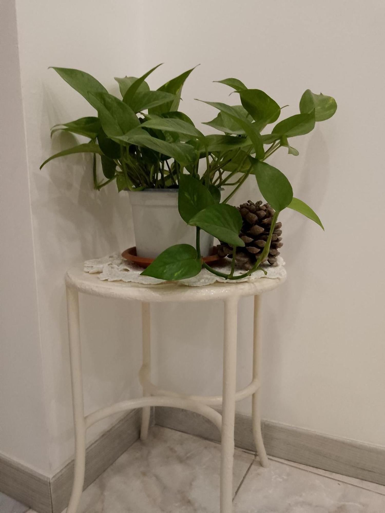 Le Casette Di Nonna Rosa In Fontanarossa Catania Airport Exteriör bild