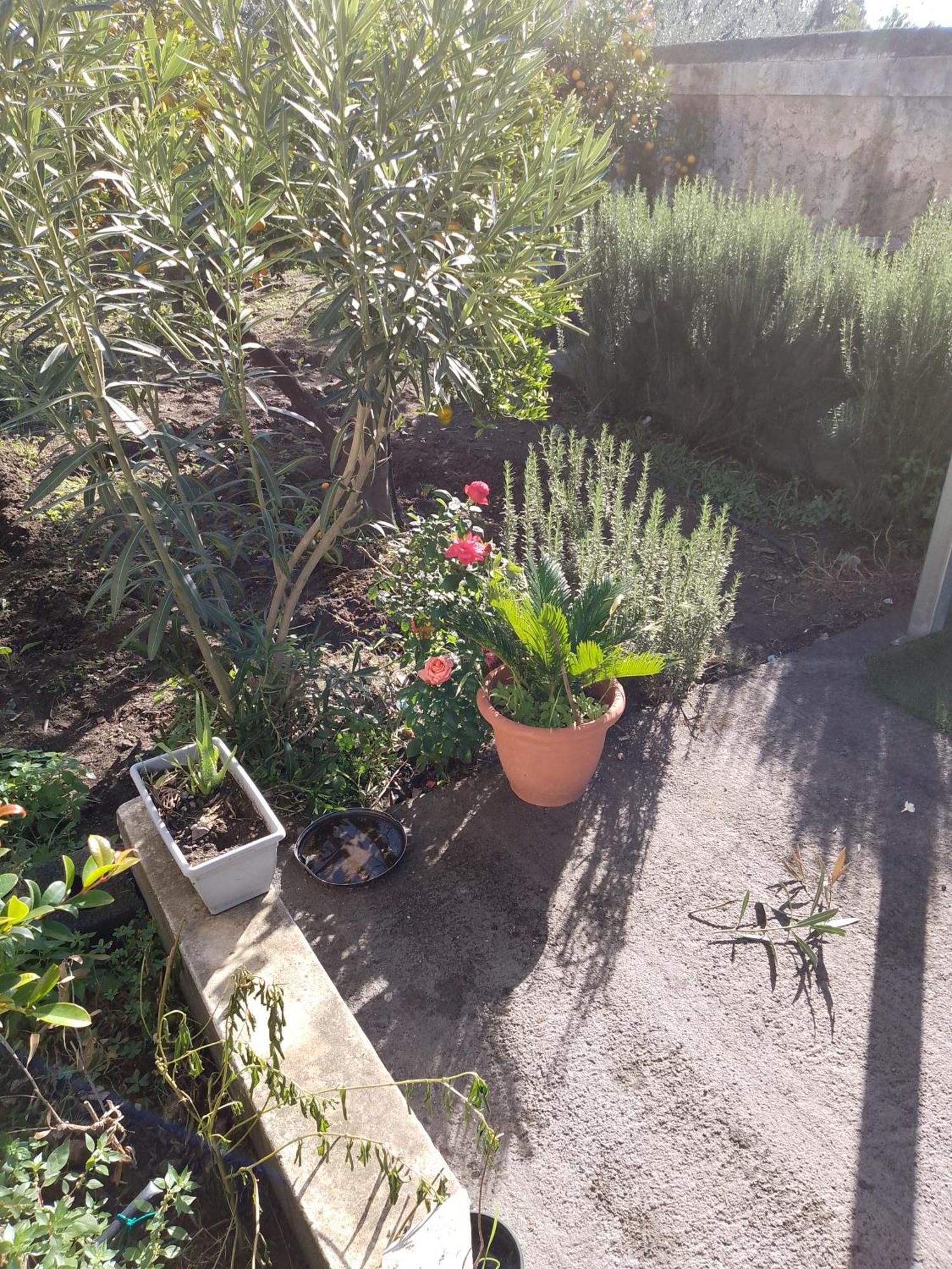 Le Casette Di Nonna Rosa In Fontanarossa Catania Airport Exteriör bild