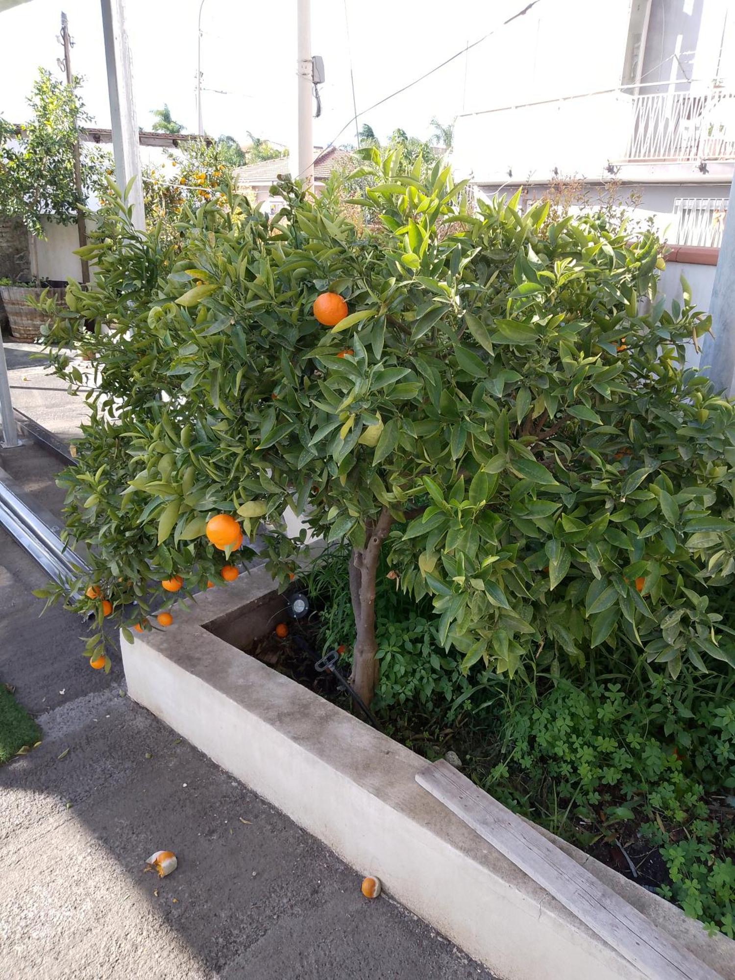 Le Casette Di Nonna Rosa In Fontanarossa Catania Airport Exteriör bild
